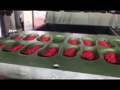 Vật liệu EVA chất lượng cao Granule Pellet màu sắc Sản xuất giày